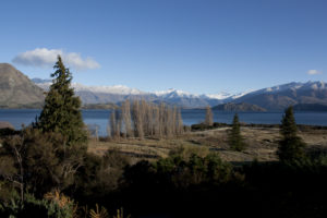 View from Wanaka Lakehouse