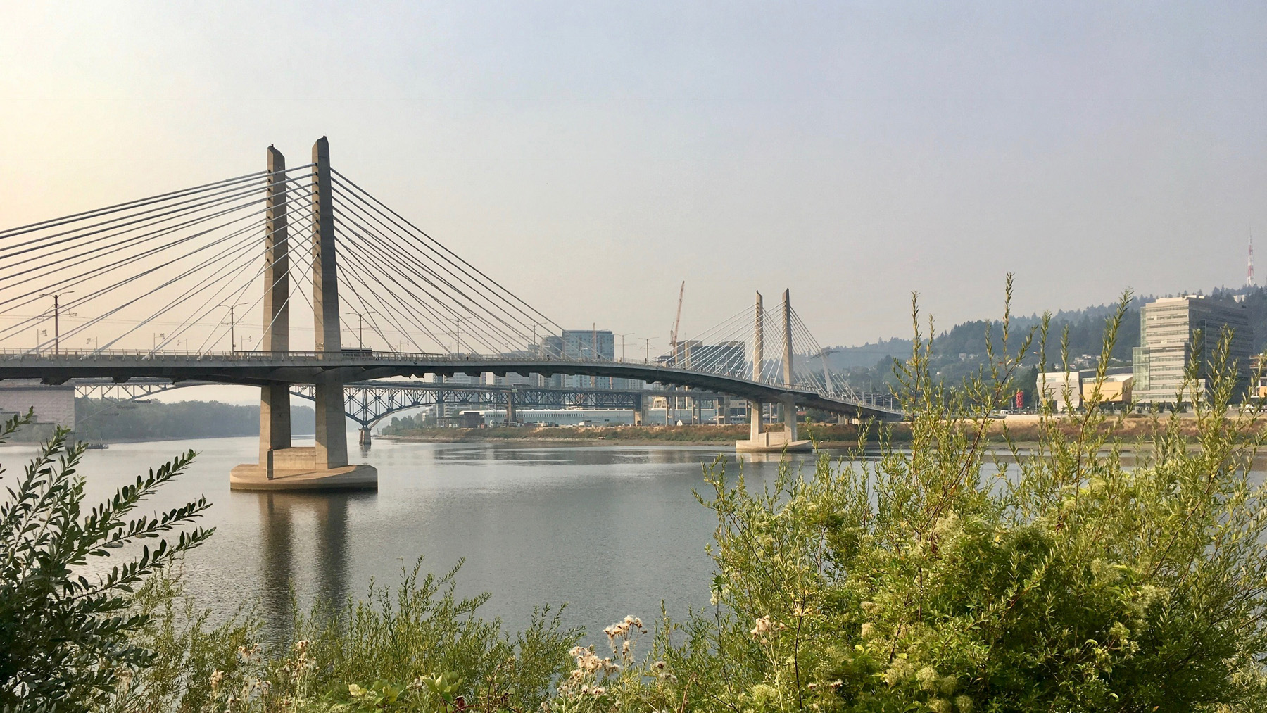 Bridge in Portland