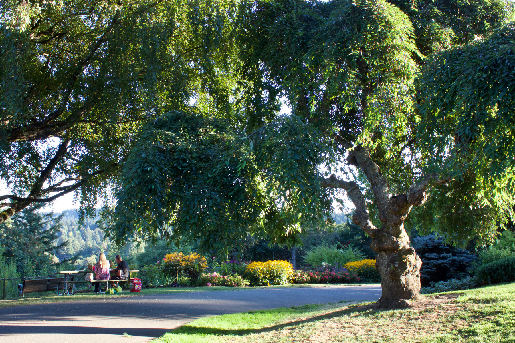 Pickett Mansion garden